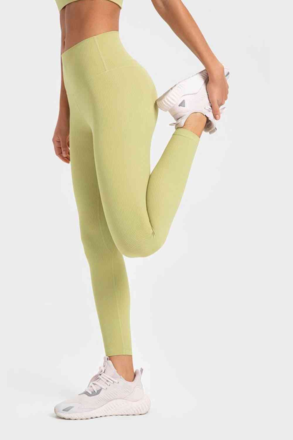 Highly Stretchy Wide Waistband Yoga Leggings-Active-Trendsi-JipsiJunk