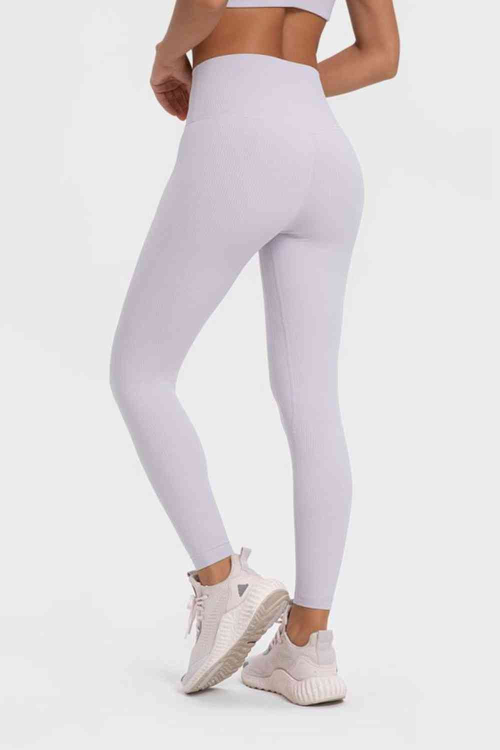 Highly Stretchy Wide Waistband Yoga Leggings-Active-Trendsi-JipsiJunk