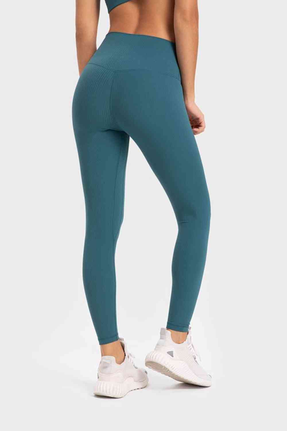 Highly Stretchy Wide Waistband Yoga Leggings-Active-Trendsi-JipsiJunk