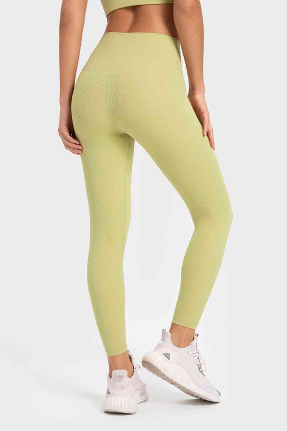 Highly Stretchy Wide Waistband Yoga Leggings-Active-Trendsi-JipsiJunk