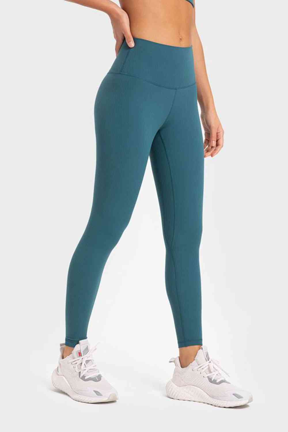 Highly Stretchy Wide Waistband Yoga Leggings-Active-Trendsi-JipsiJunk