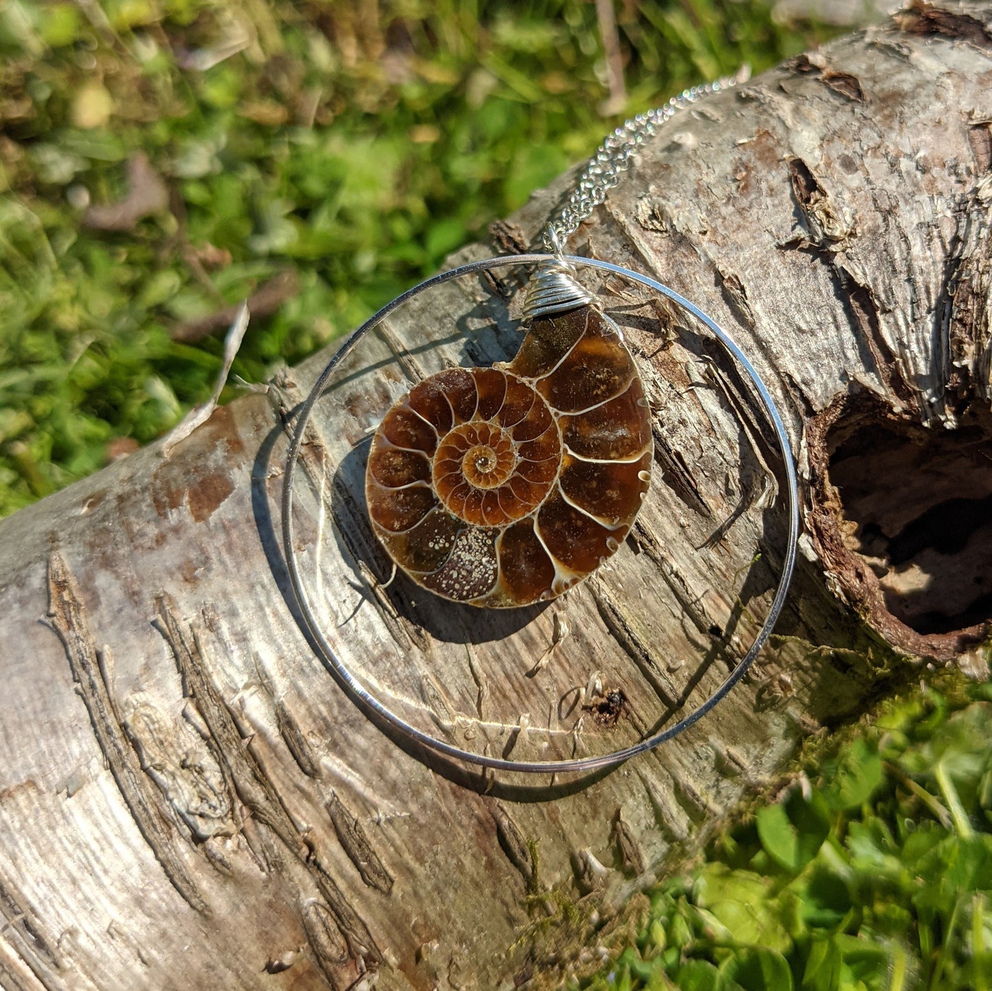 AMMONITE HOOP NECKLACE IN STAINLESS STEEL-NECKLACES-Jipsi Junk-JipsiJunk