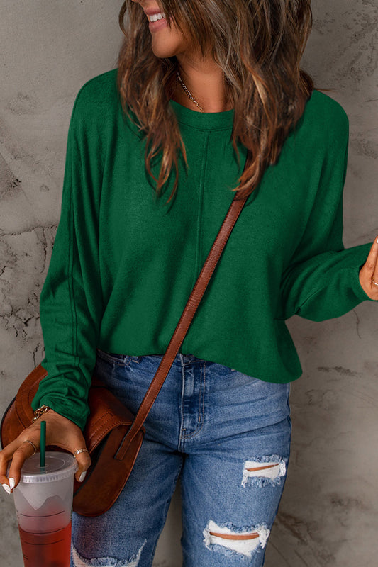 Double Take Full Size Round Neck Long Sleeve T-Shirt-Trendsi-JipsiJunk