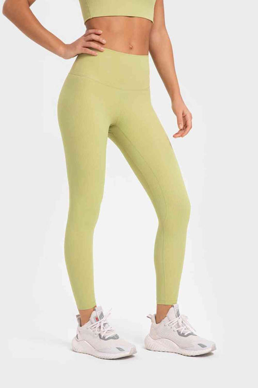 Highly Stretchy Wide Waistband Yoga Leggings-Active-Trendsi-JipsiJunk